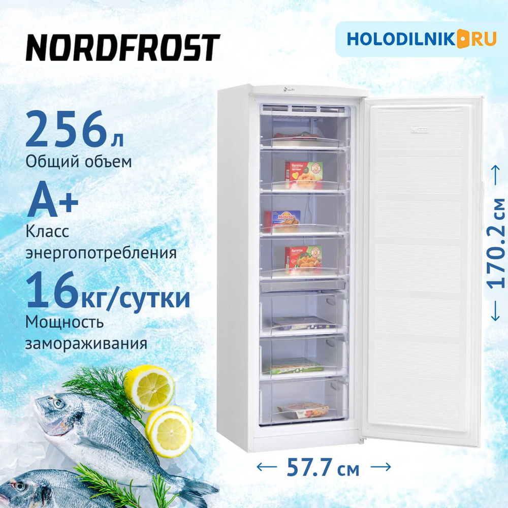 Морозильная камера NORDFROST DF 168 WAP белый по низкой цене: отзывы, фото,  характеристики в интернет-магазине Ozon (206545184)