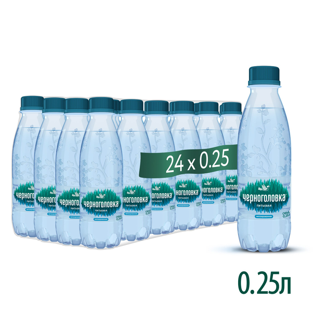 Вода питьевая ЧЕРНОГОЛОВКА негазированная, 24 шт по 0,25 л, ПЭТ купить ...