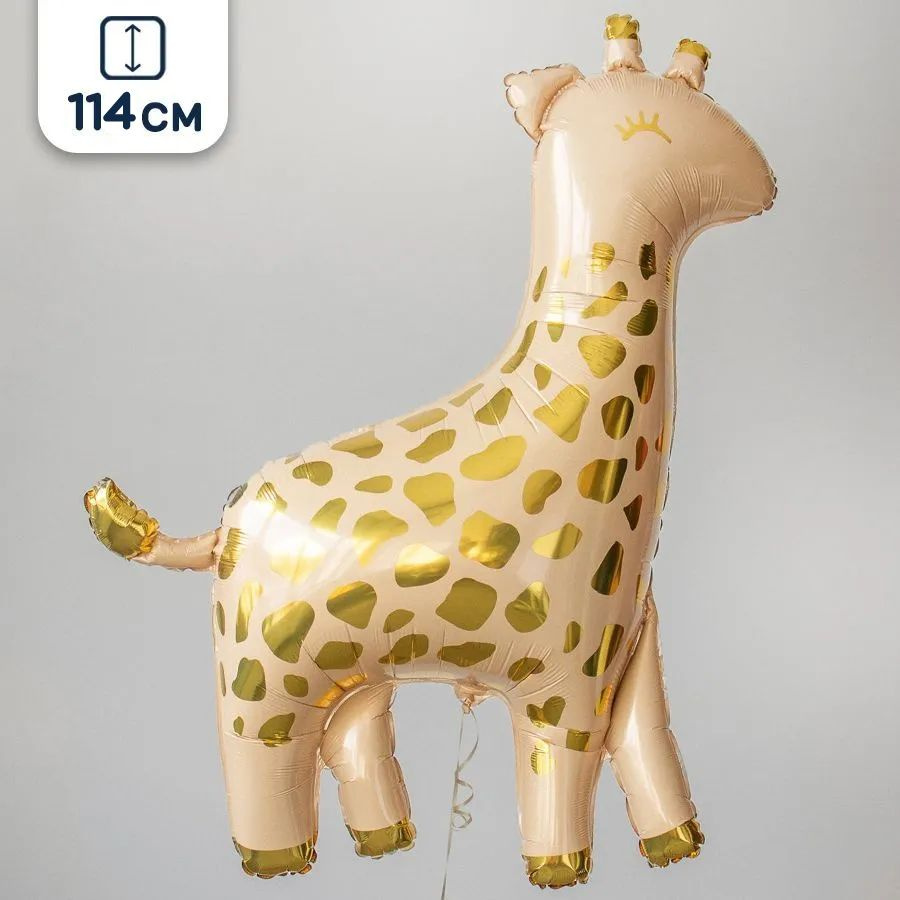 Үлкен сиськи бар толық жалаңаш қыздар