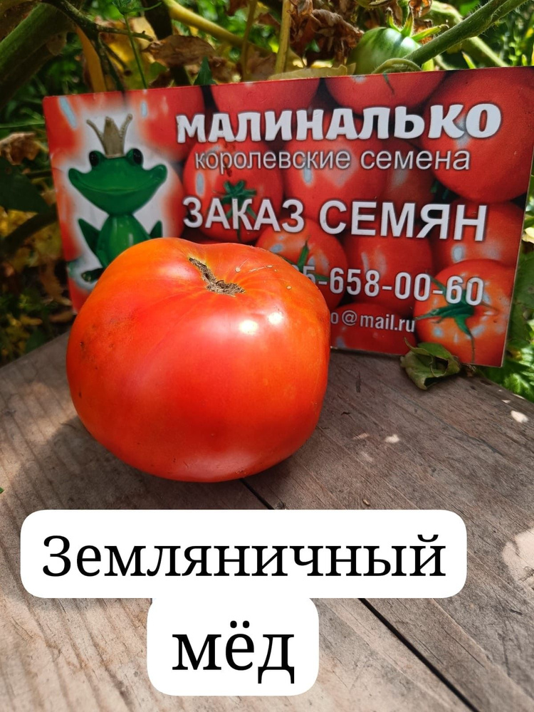 Семена #1