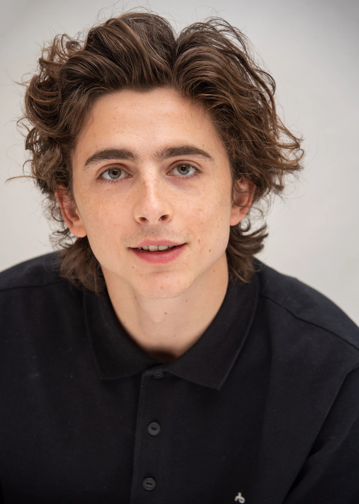 Плакат / Постер Тимоти Шаламе Timothee Chalamet А3 (30*42 см) #1