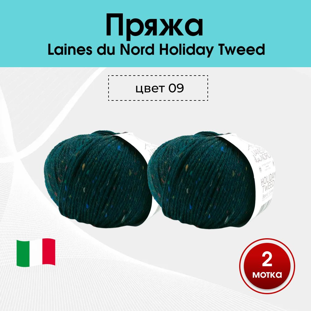 Пряжа Laines du Nord Holiday Tweed (50% меринос, 39% акрил, 11% вискоза) цв. 09, 2 мотка  #1