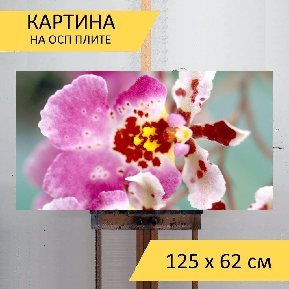 Картина науки 