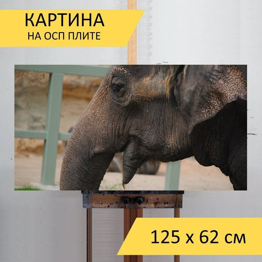 LotsPrints Картина "Слон, лицо, животное 98", 125  х 62 см #1