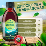 ДИОСКОРЕЯ (КАВКАЗСКАЯ, НИППОНСКАЯ)!!!По вашим просьбам - - как избавиться от атеросклероза!