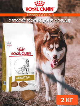 Royal hotsell canin lp