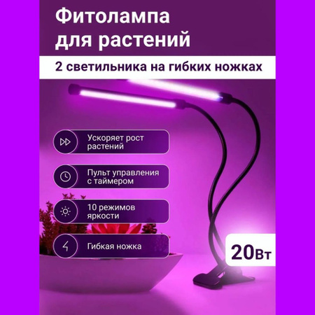 Цветы, растения, горшки – купить цветы растения горшки в интернет ...