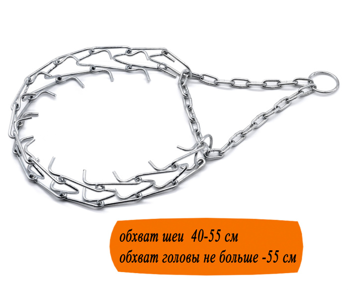 Ошейник вац дог. Ошейник легионер. Строгий ошейник для лабрадора. Ошейник мартингейл на лабрадоре. Ошейник pro-training collar59814.