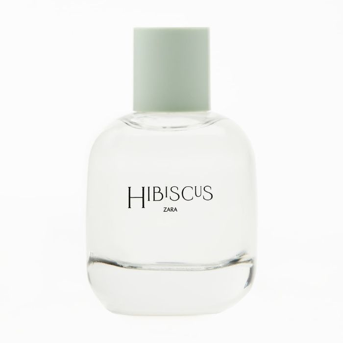 hibiscus zara