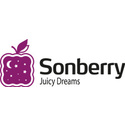 Sonberry матрас лайт кокос тфк