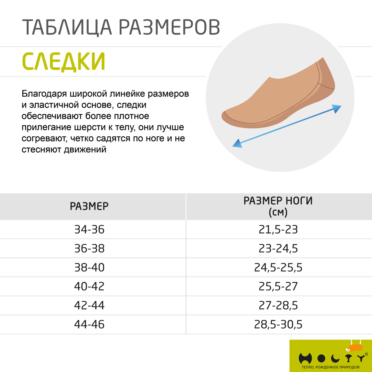 Текстовое описание изображения