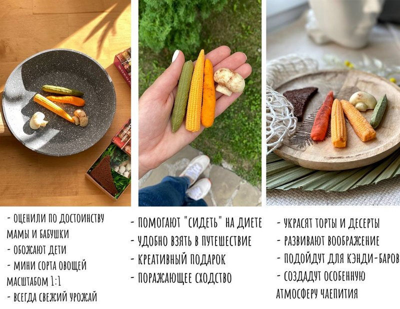 Текстовое описание изображения