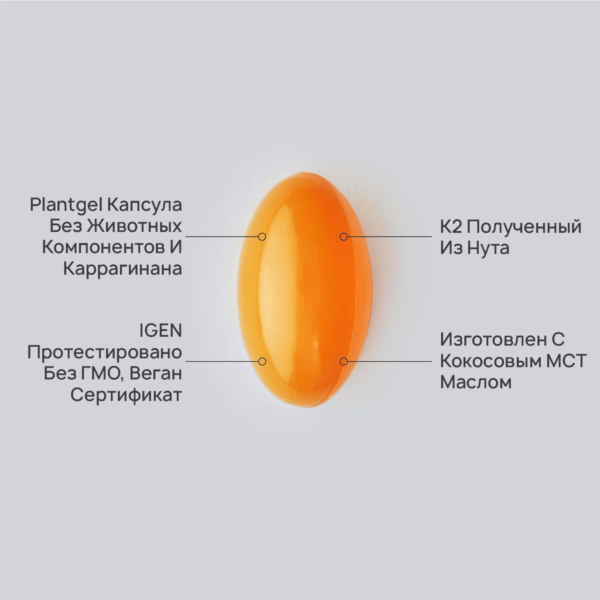 Витамин К2 МК7 100 мкг с кокосовым маслом, Vitamin K2, Sports Research ...