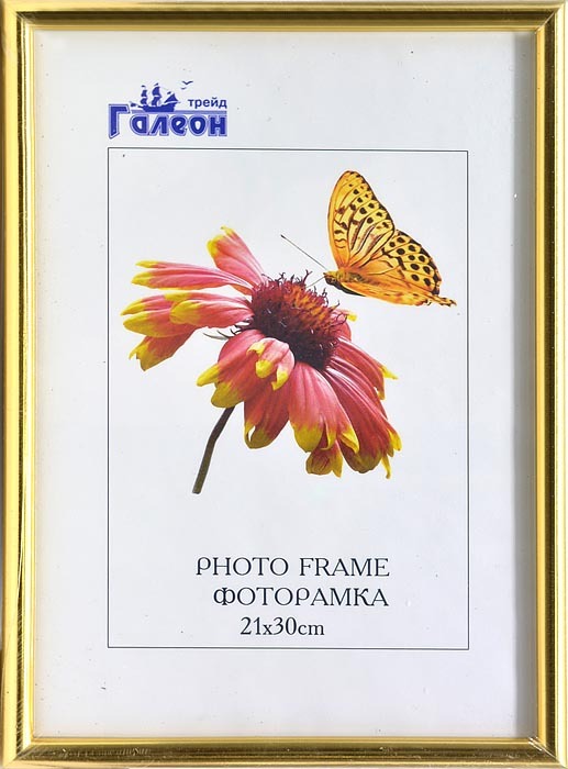 Фоторамка пластиковая 21 х 30 см, 1302A-004C