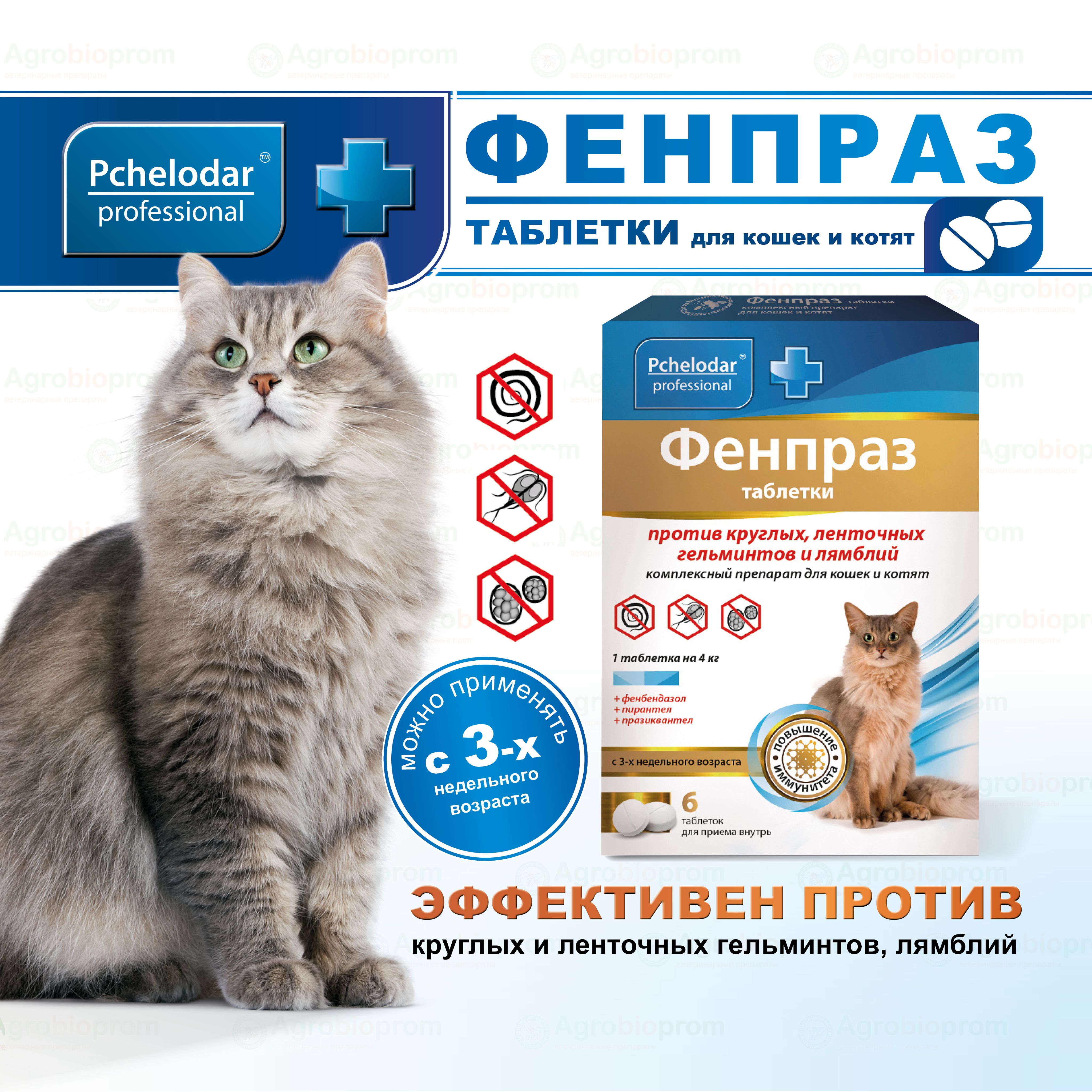 Фенпраз От глистов для кошек, Таблетки 6 шт, Пчелодар - купить с доставкой  по выгодным ценам в интернет-магазине OZON (799548931)