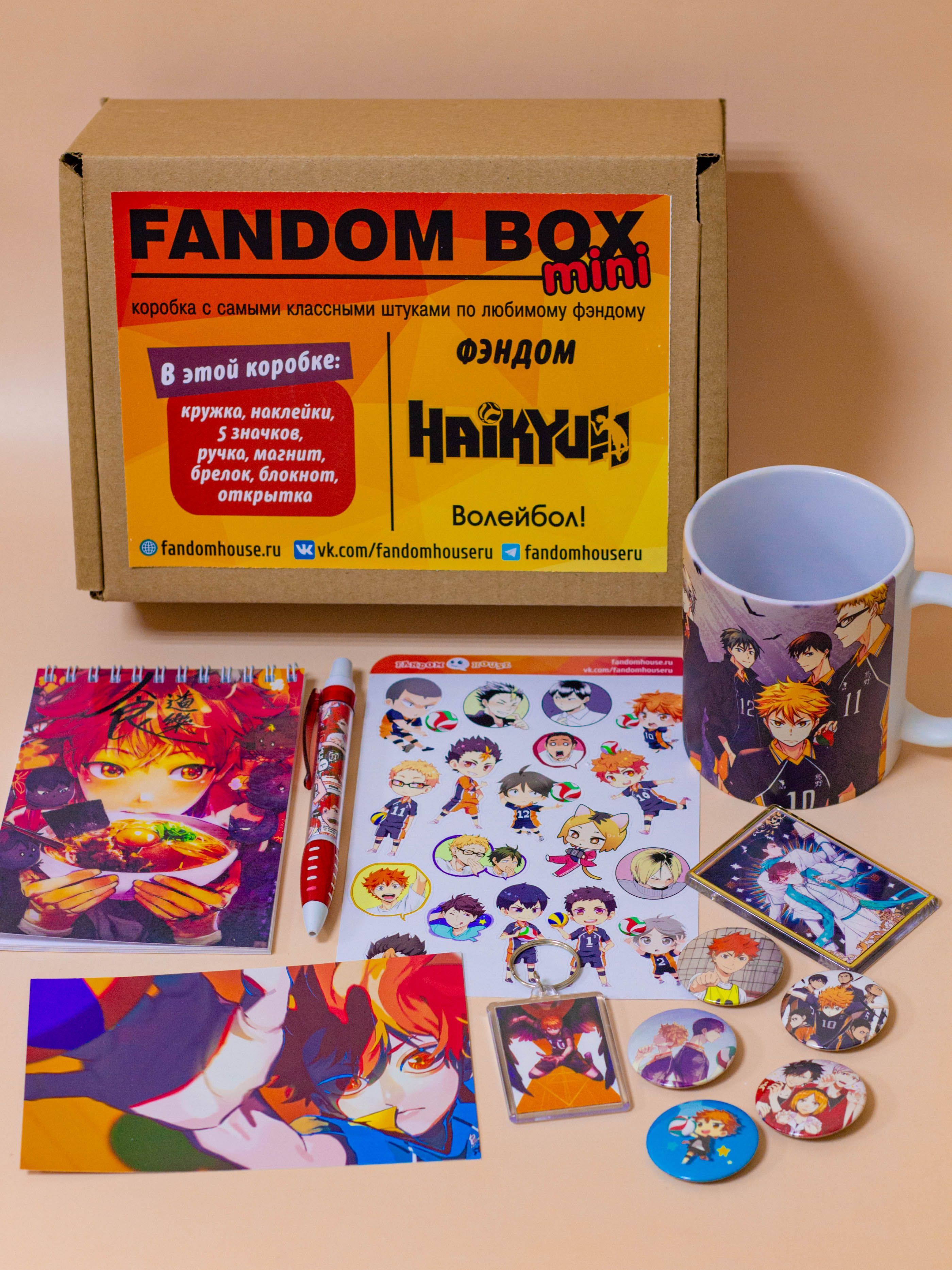 Подарочный набор Fandom Box mini по аниме Haikyuu!! (Волейбол) - купить по  выгодным ценам в интернет-магазине OZON (509986892)