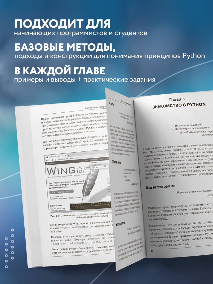 Программирование на Python в примерах и задачах | Python Programming: Examples and Exercises - Ozon image 1