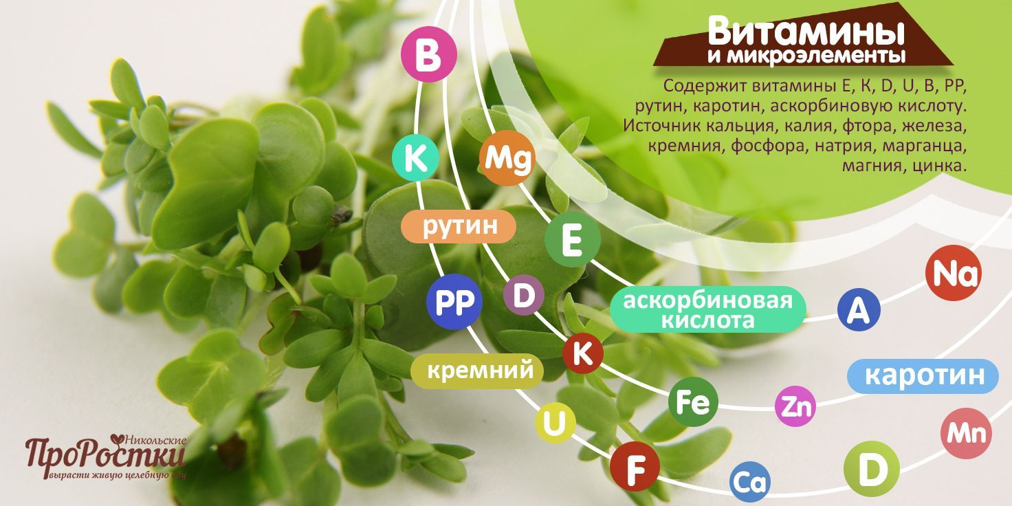 Микс семян "Мужская сила" семена микрозелени, 100 г - купить с ...