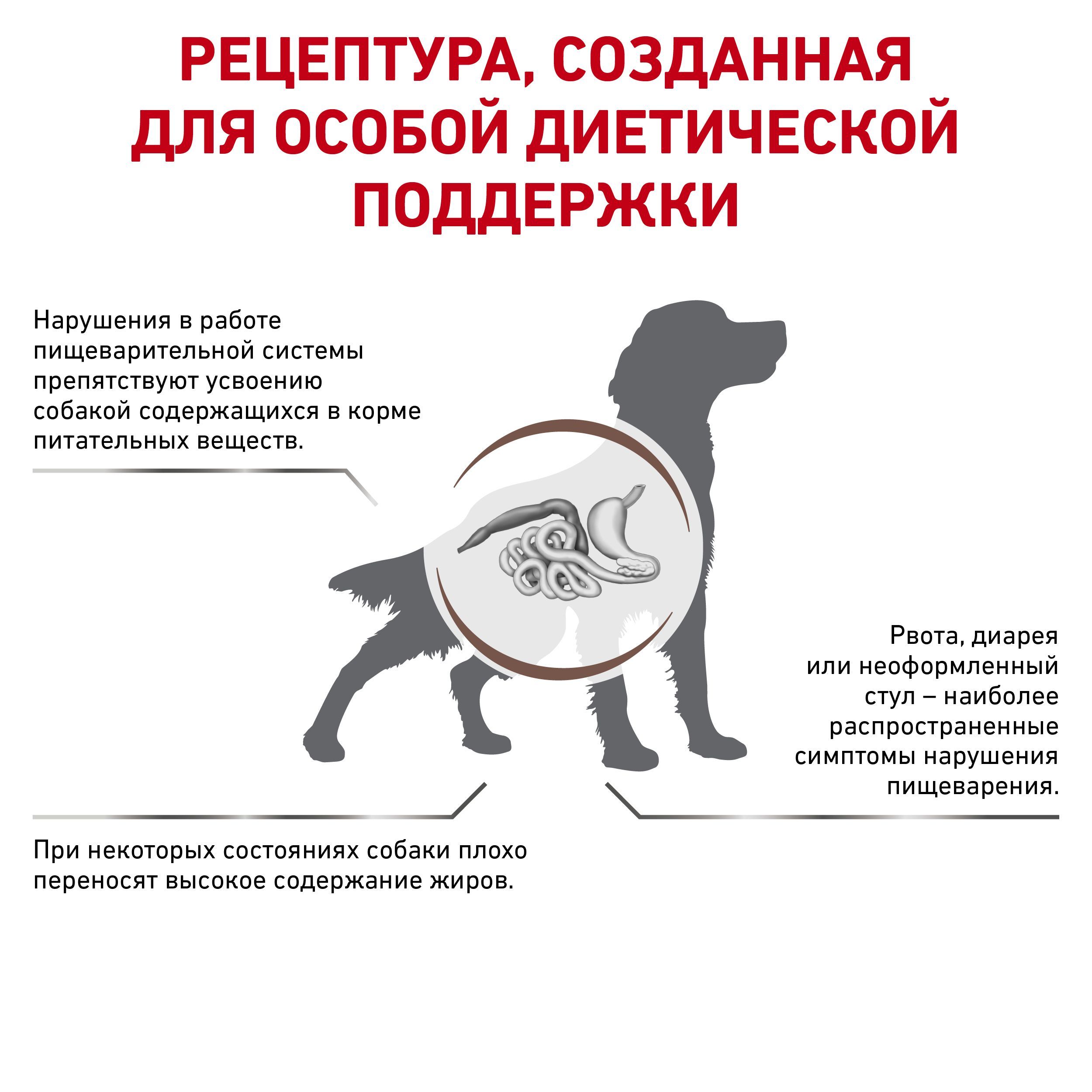 Royal Canin Gastrointestinal Low Fat (Роял Канин Гастроинтестестинал ...