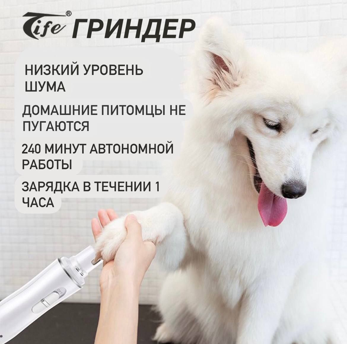 Гриндер для собак и кошек — купить в интернет-магазине OZON с быстрой ...