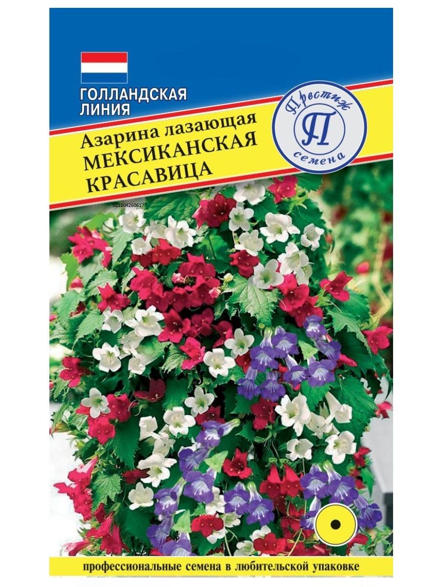 Азарин, Лиана Престиж семена азаринасемена - купить с бесплатной