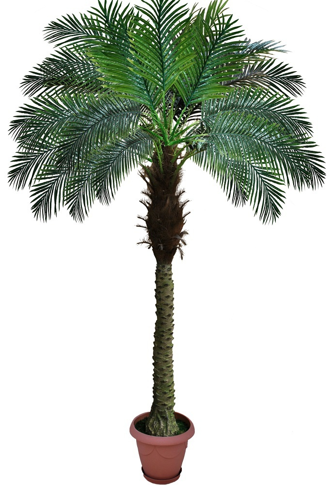 Декор Дель Маре пальма справа (ПН9ДМ2)