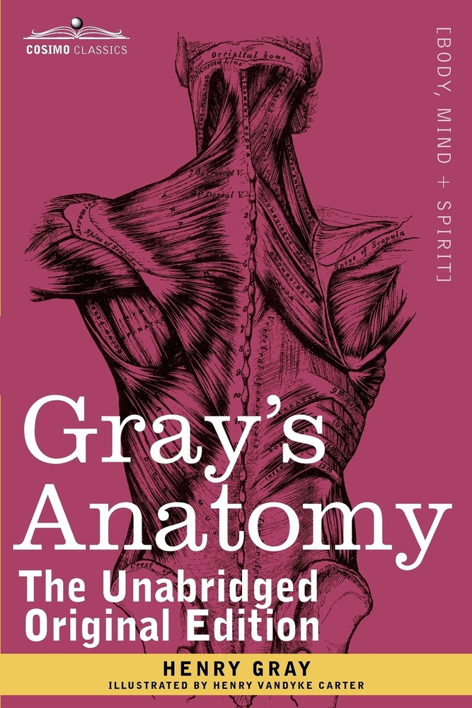 Gray's Anatomy. Descriptive and Surgical #1