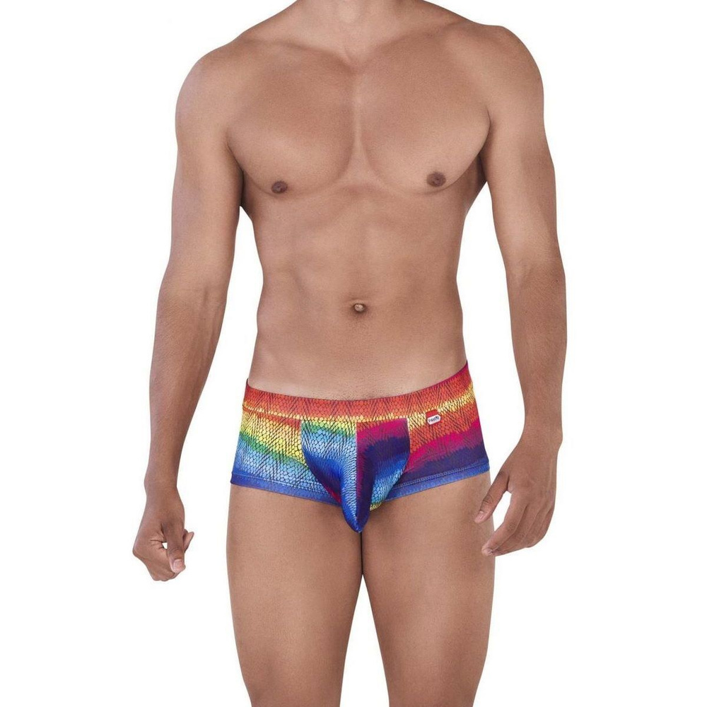 Трусы Мужской Pikante хипсы Полиэстер, Эластан разноцветный