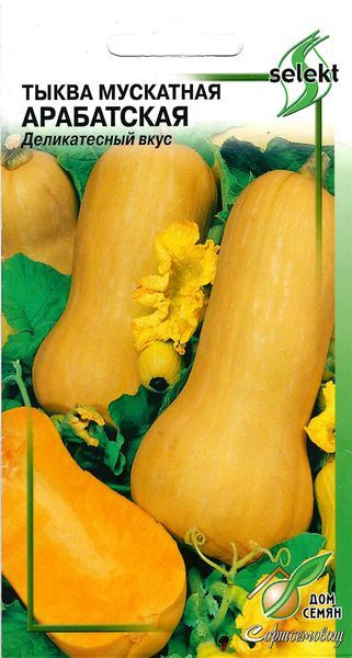 Тыквы, Разнообразные овощи Дом семян Тыква мускатная Арабатская ...