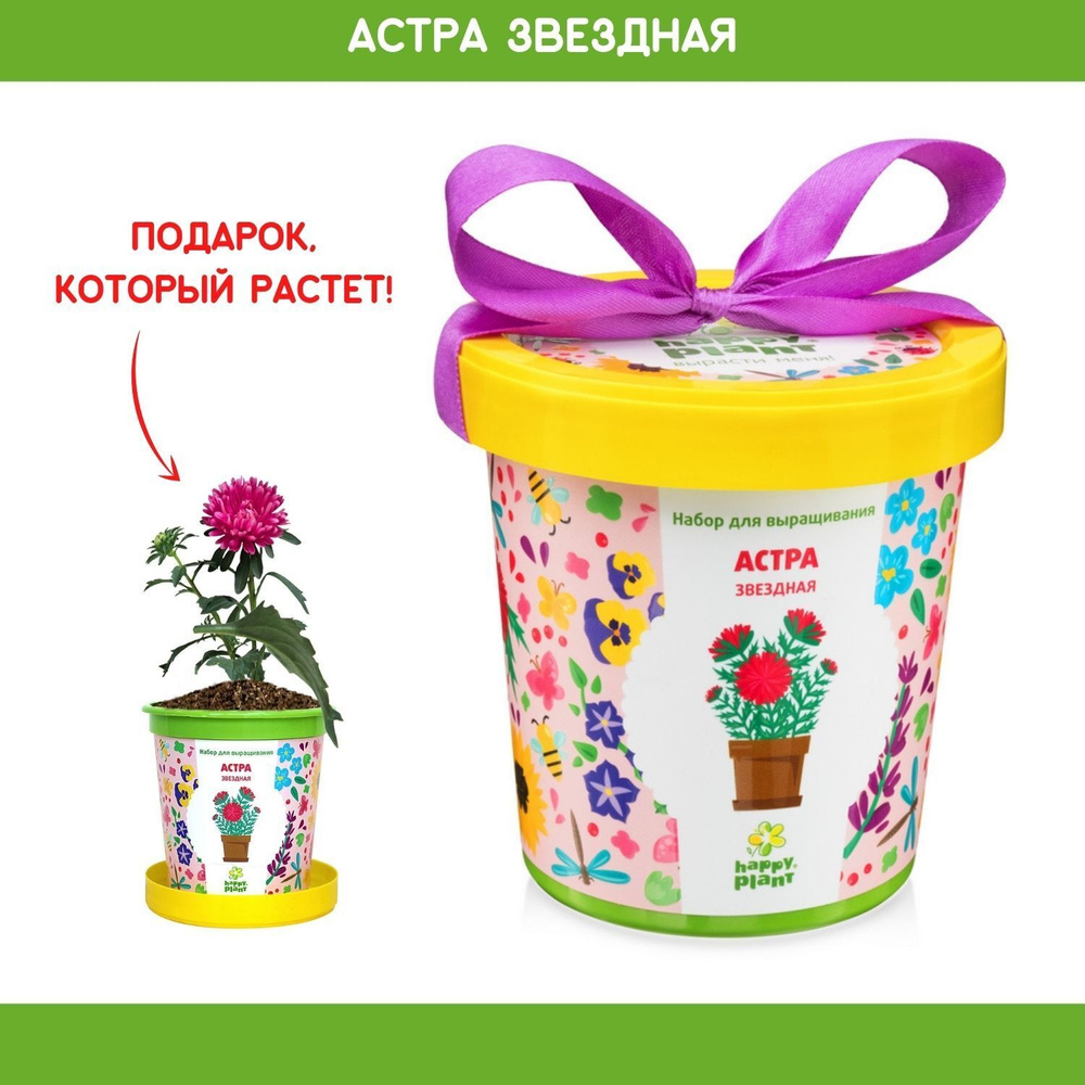 Набор для выращивания растений Happy Plant Астра звездная