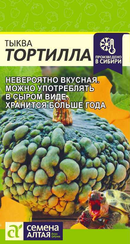 Тыква Тортилла (Семена Алтая), 1 гр. Можно есть в сыром виде. Очень вкусная!  #1