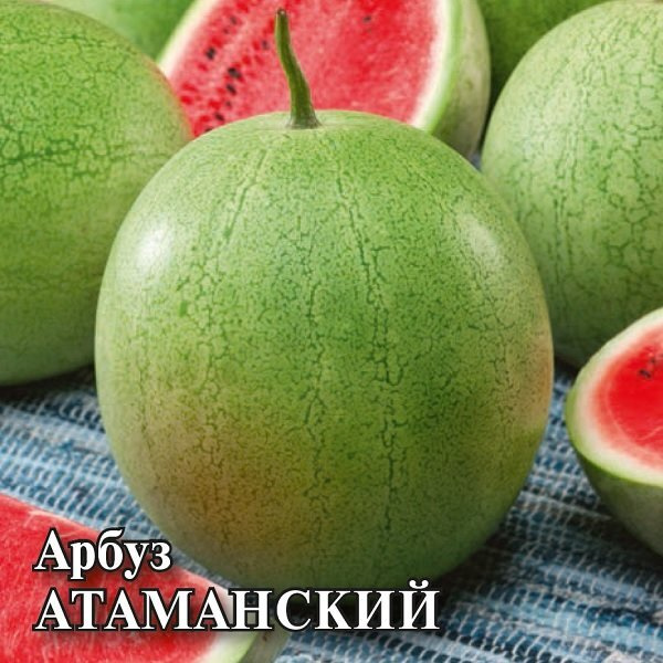  Арбуз Атаманский, 50г, Гавриш, Фермерское подворье #1