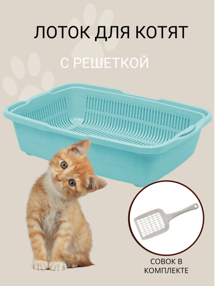 Туалет для котят с сеткой DD Style, кошачий туалет, лоток для кошек с  совком, ментоловый - купить с доставкой по выгодным ценам в  интернет-магазине OZON (388185238)
