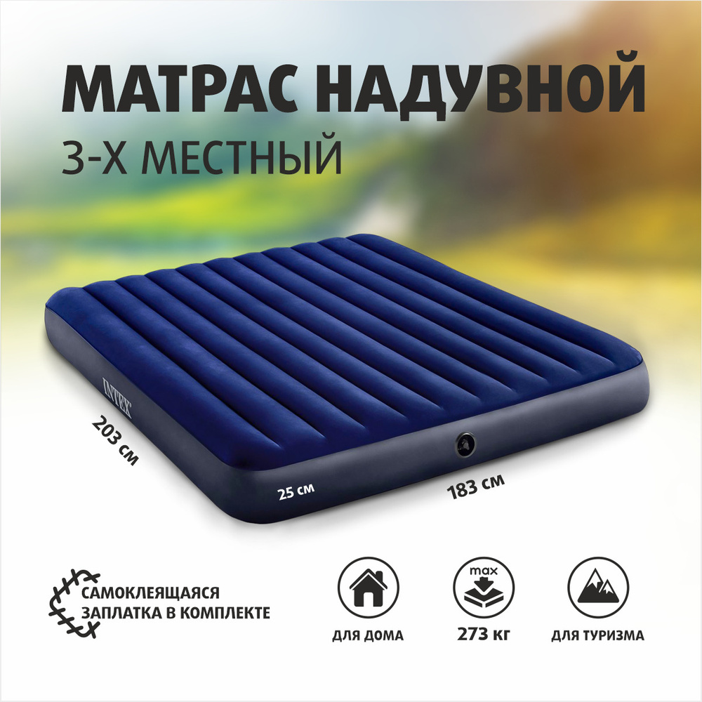 Матрас надувной Intex надувные матрасы INTEXXX 203 - купить по выгодной  цене в интернет-магазине OZON (1188356536)