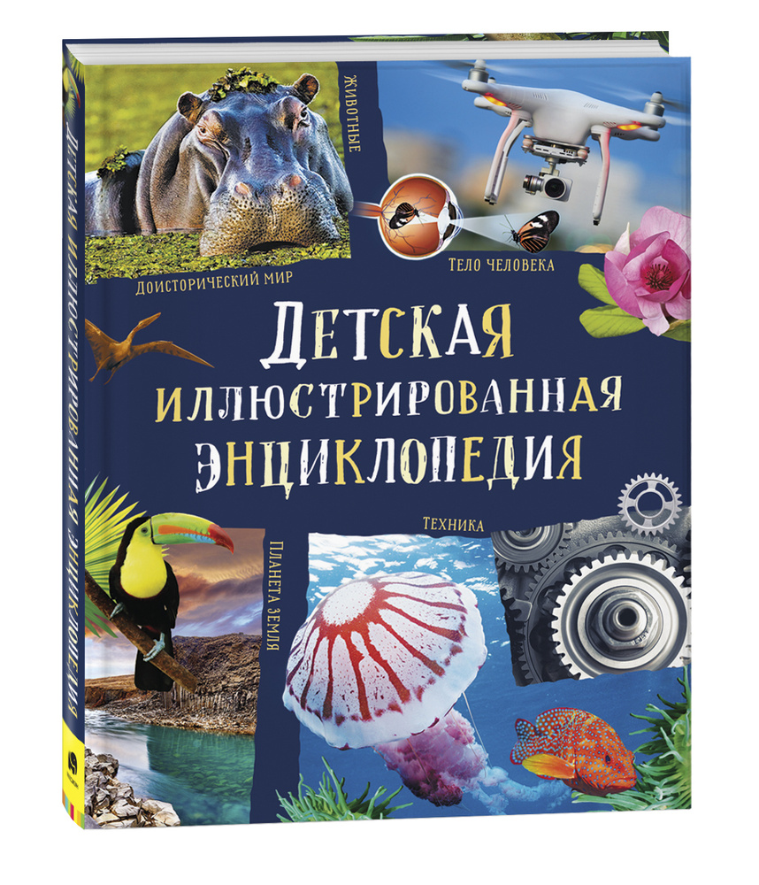 Детская иллюстрированная энциклопедия | Смит Миранда, Тейлор Барбара