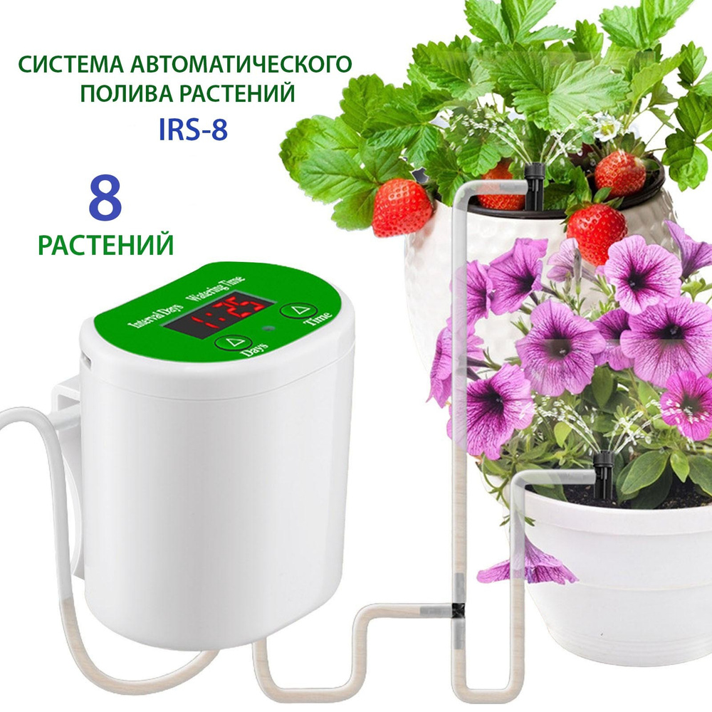Автоматический полив для 8 комнатных растений , система полива - купить по  низкой цене в интернет-магазине OZON (659582134)