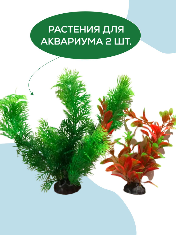 растения для аквариума с доставкой