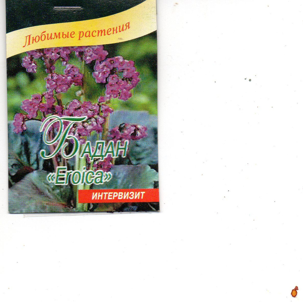 Бадан семена #1
