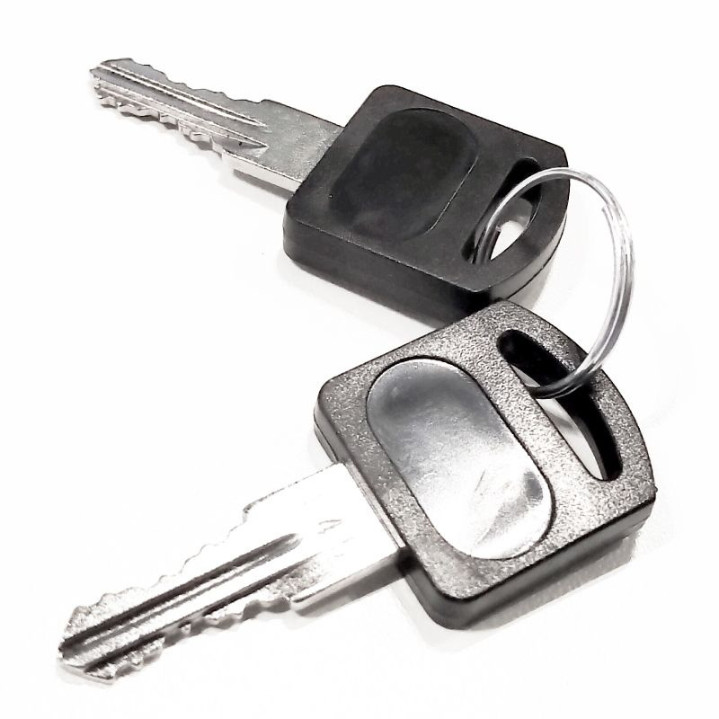 RTO.13-F Ключ (2 шт.) замка разблокировки привода ROTEO Alutech (Алютех ...