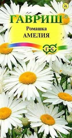 Ромашка Амелия (Гавриш) #1