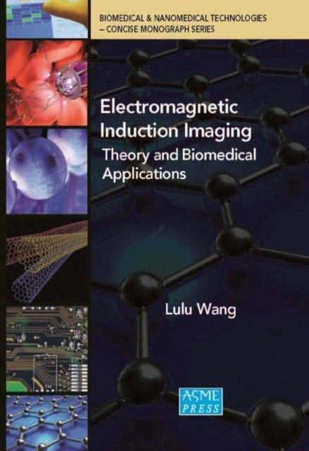 Electromagnetic induction imaging : #1