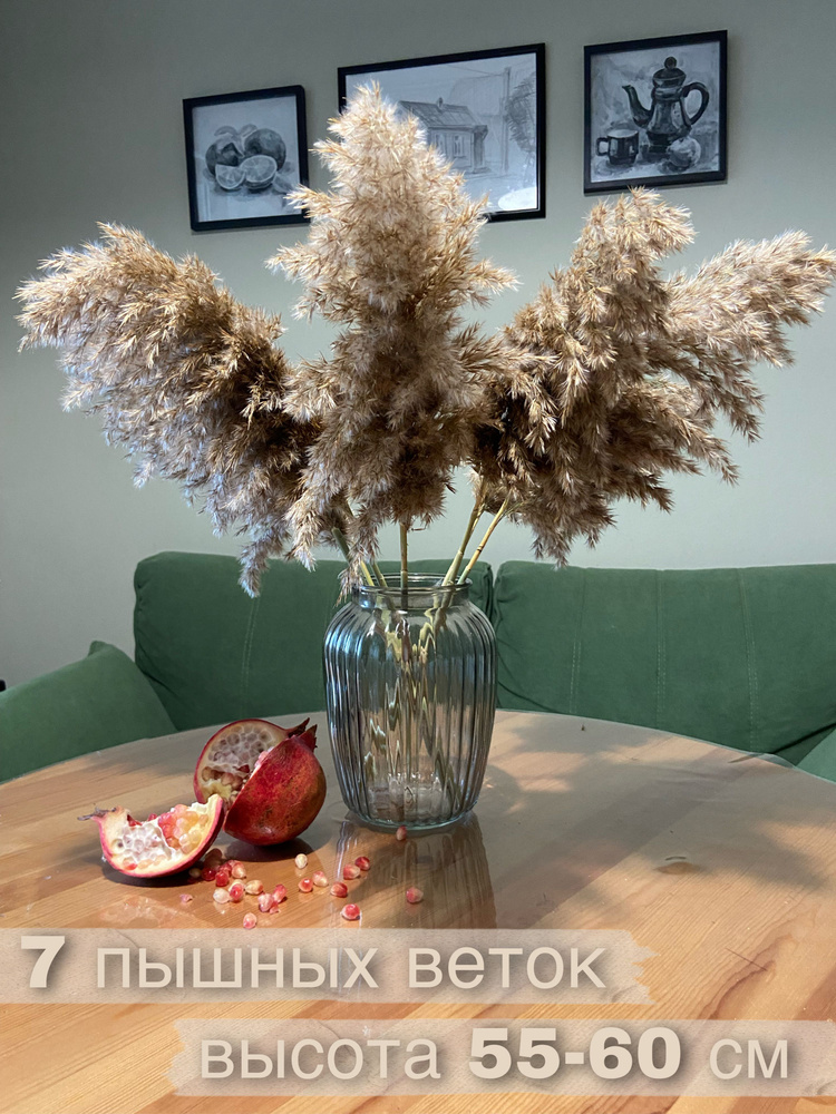 Букет из сухоцветов Пампасная трава, 58 см, 200 гр, 7 шт купить по выгоднойцене в интернет-магазине OZON (650575702)