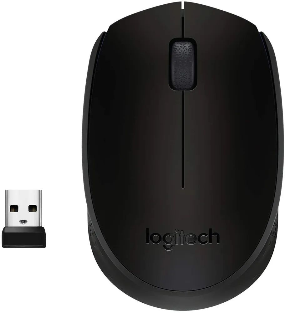 Мышь беспроводная Logitech M170 #1