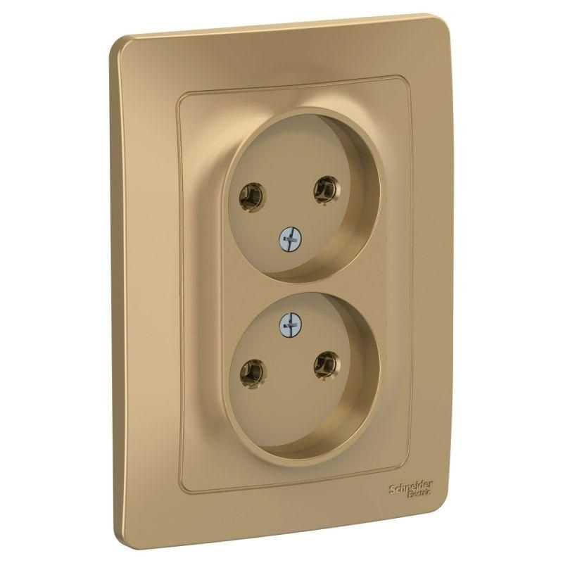 Розетка 2-м СП Blanca 16А IP20 250В без заземл. без защ. шторок титан ...