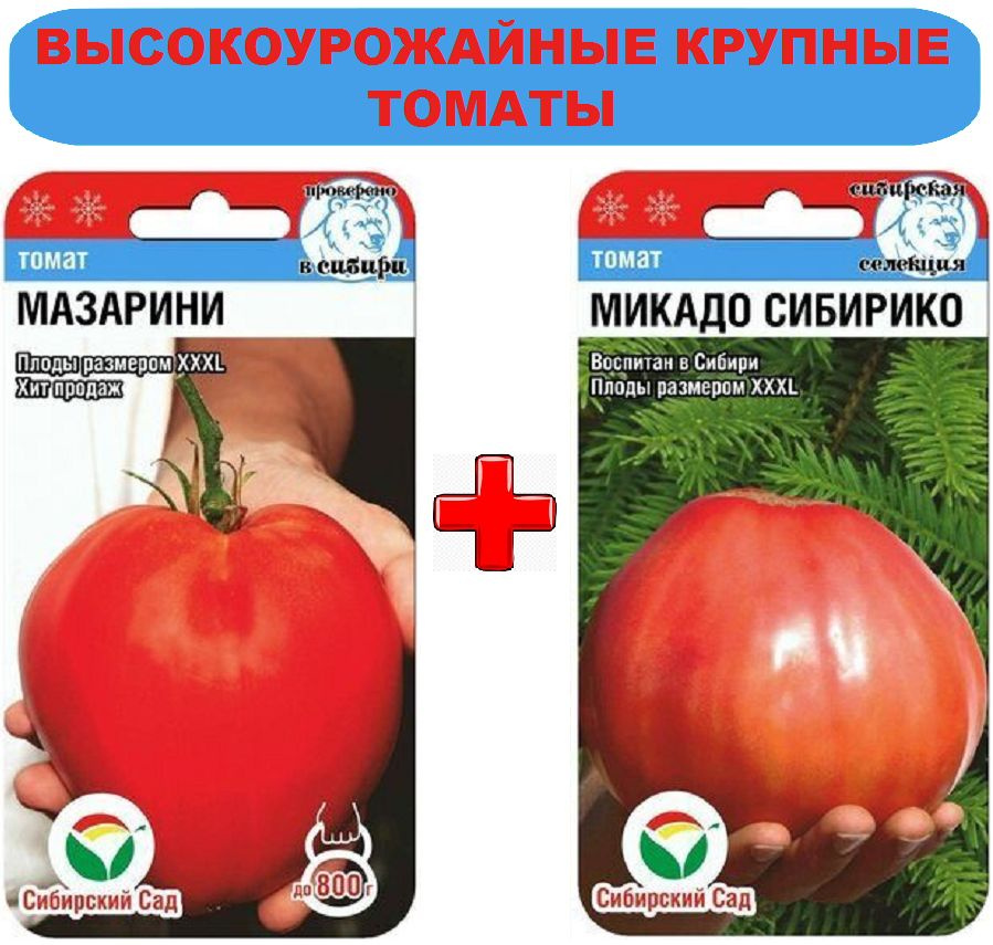 Томат Микадо Розовый Отзывы Фото