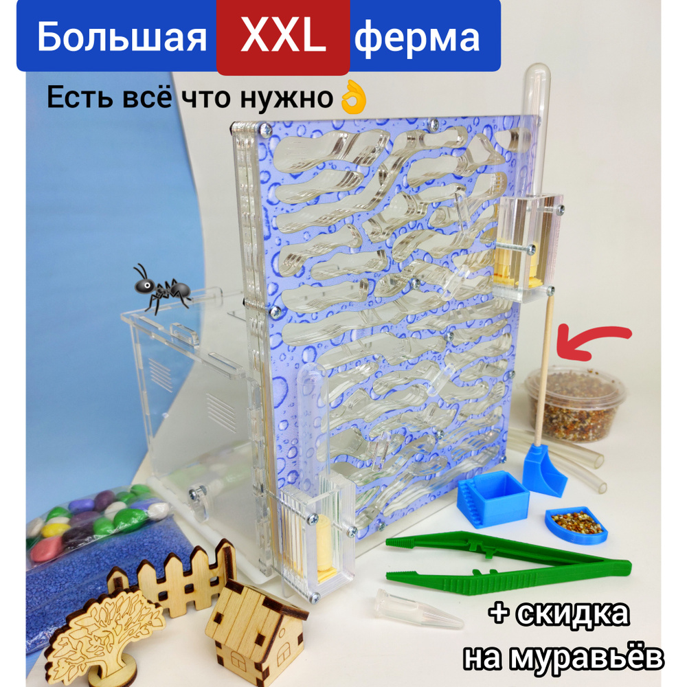Большая XXL Вертикальная Муравьиная ферма полный комплект, цвет Голубой /  формикарий для муравьёв - купить с доставкой по выгодным ценам в  интернет-магазине OZON (859412455)