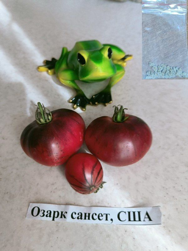 Семена #1