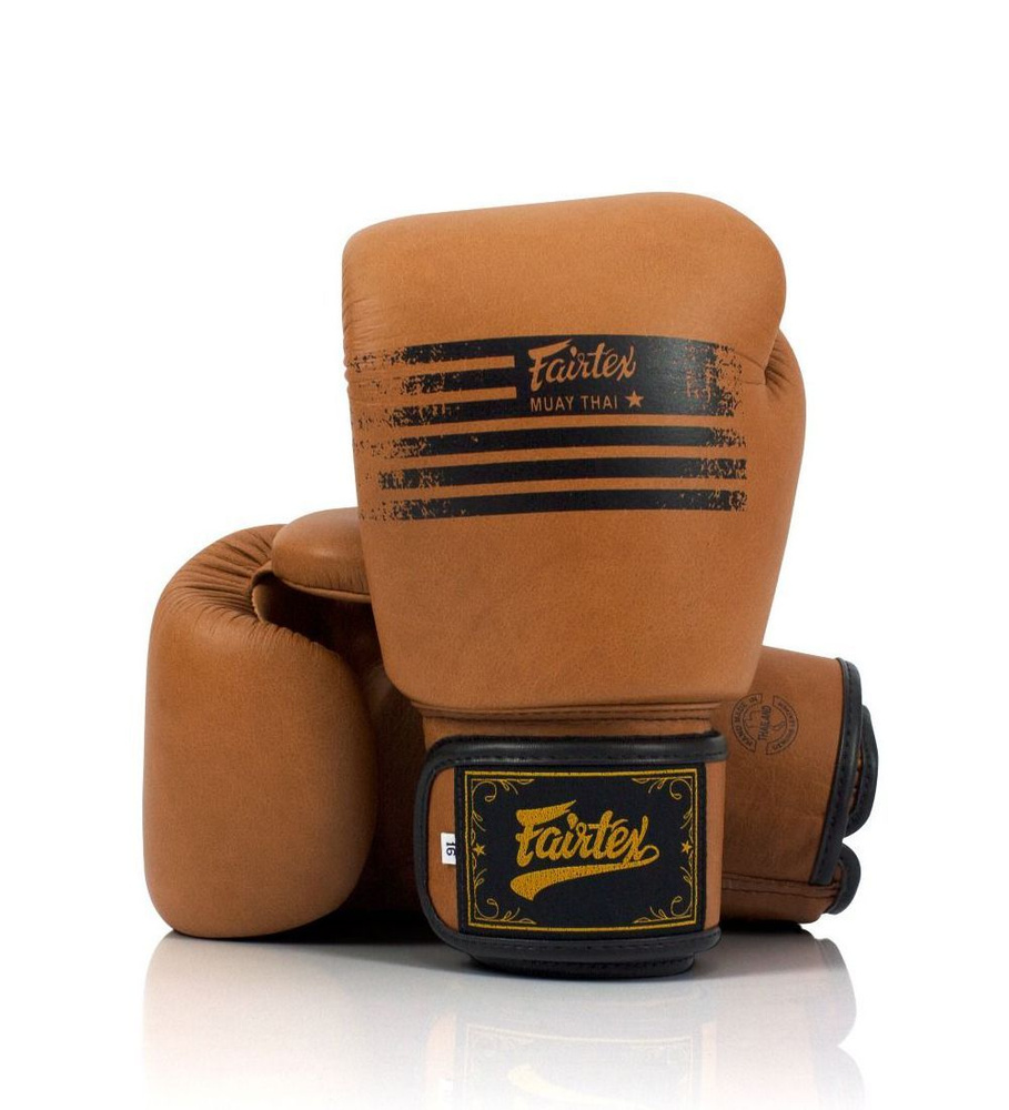 Боксерские перчатки Fairtex BGV21 LEGACY 16 унций #1