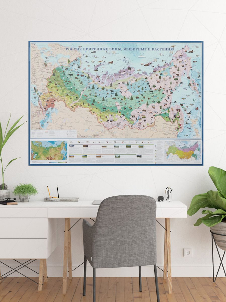 Настенная карта России с природными зонами, животными и растениями, 143 ...