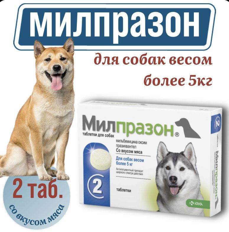 Милпразон таблетки для собак более 5кг - купить с доставкой по выгодным  ценам в интернет-магазине OZON (886327614)